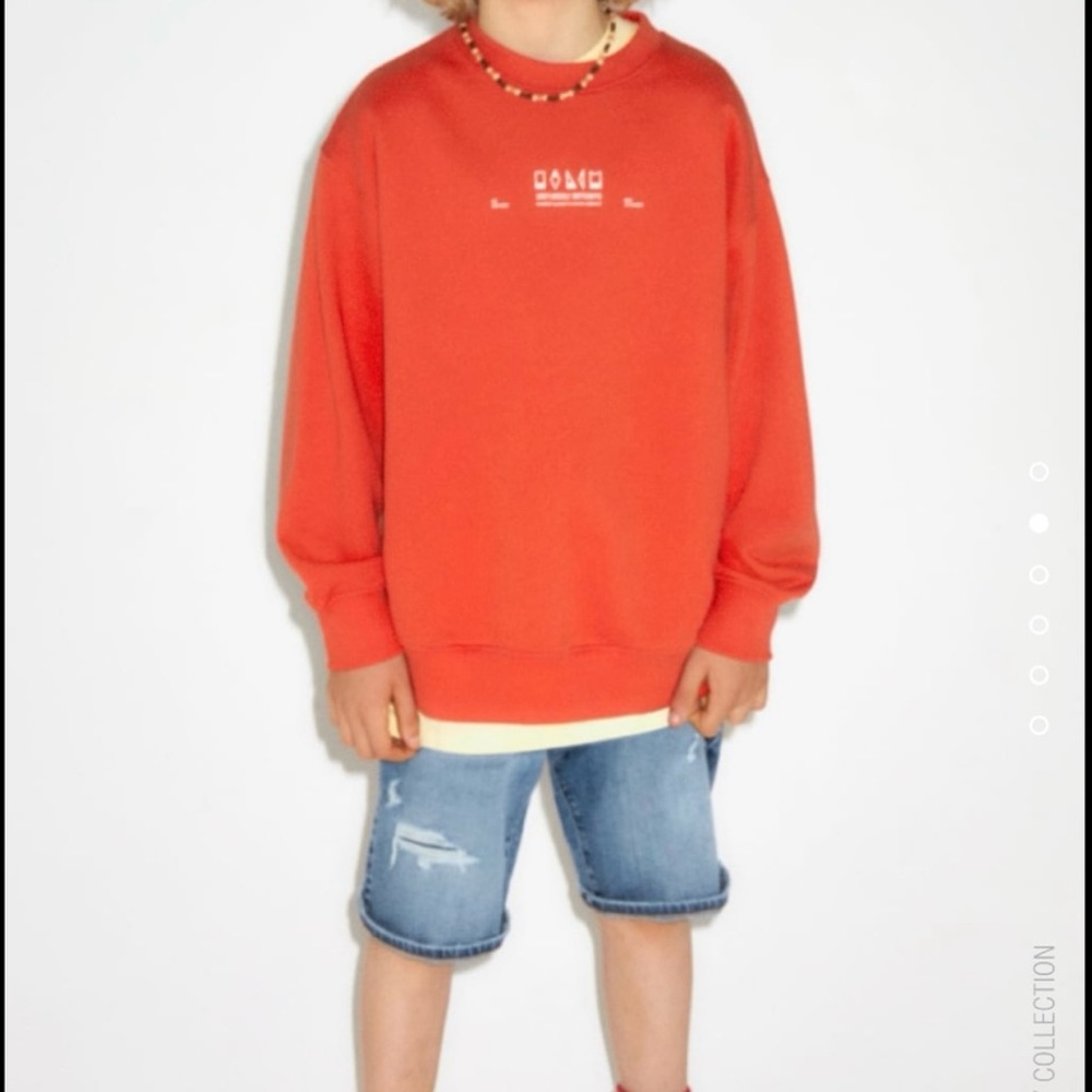 Zara Printed Sweatshirt
